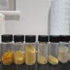 Dimethyltryptamine (DMT)